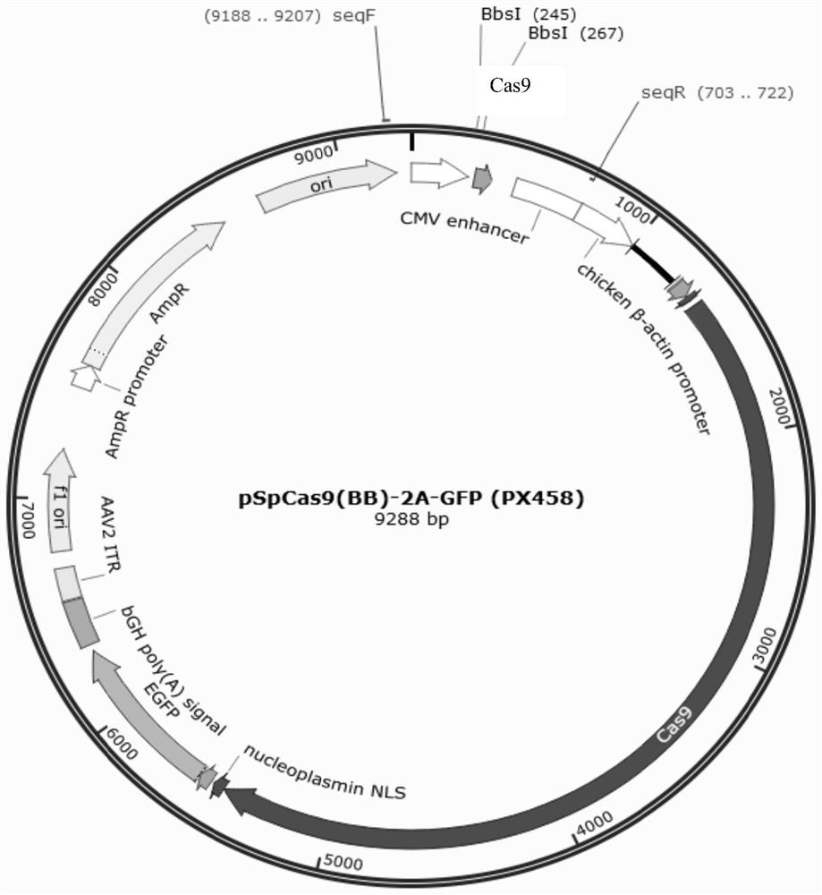 A kind of hematopoietic stem cell and its preparation method and application