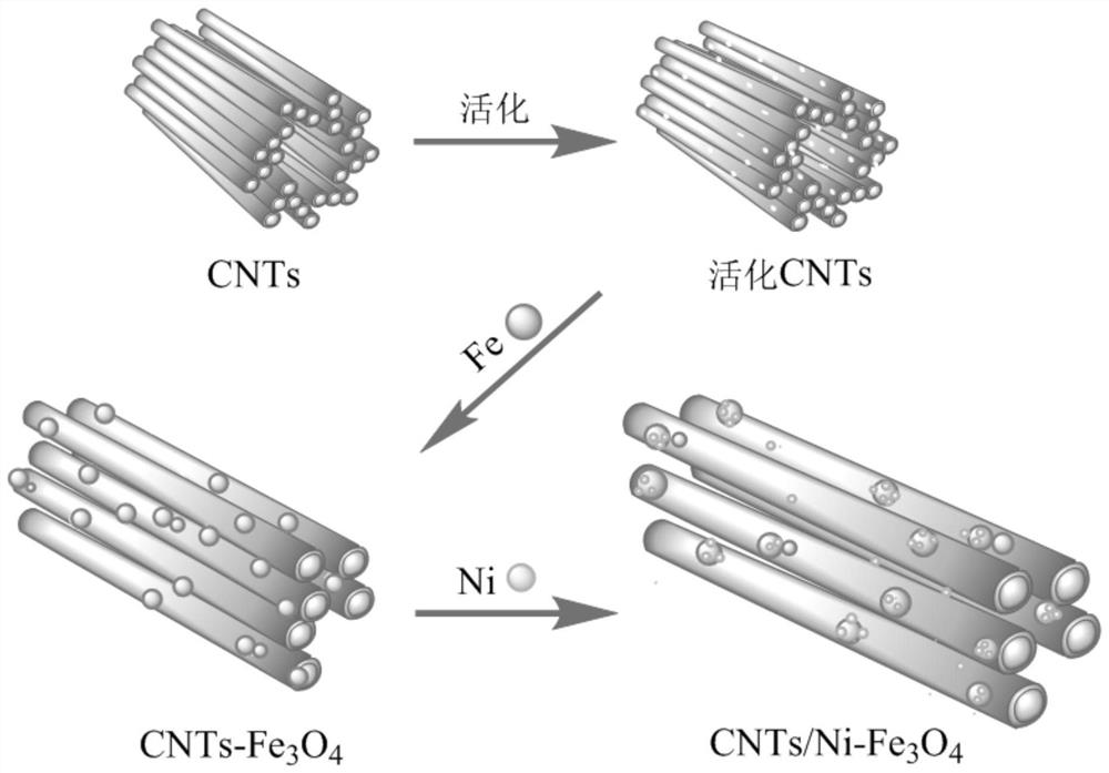 Preparation method of CNTs/Ni-Fe3O4 functional material
