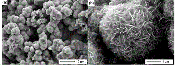 Preparation method of flower-shaped molybdenum disulfide microspheres
