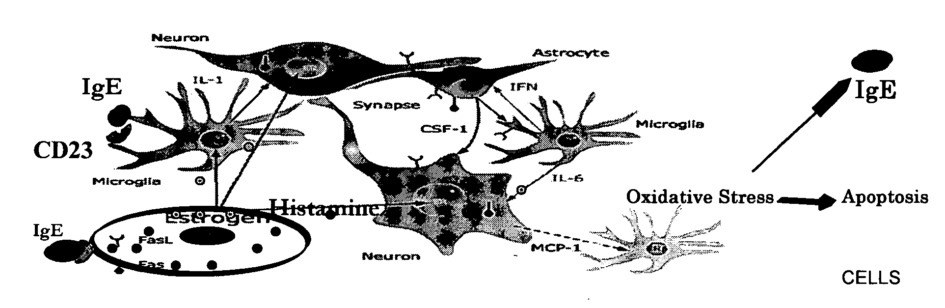 Diagnostic assays