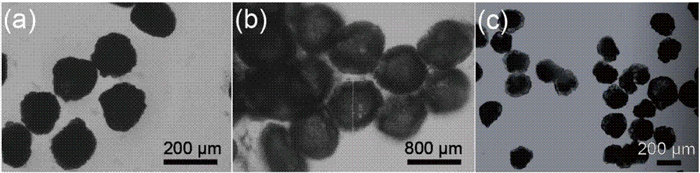 Preparation method of micro-encapsulation nanometer hybridized microspheres