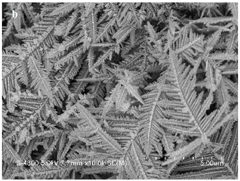 Preparation method of silver nano-dendrites