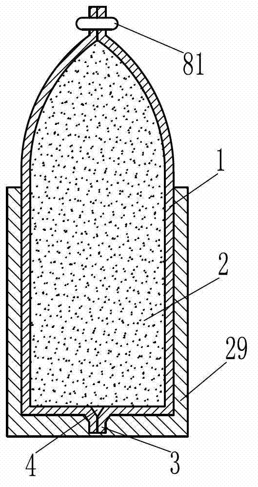 Solid projection bullet as well as projection device and delivery method thereof