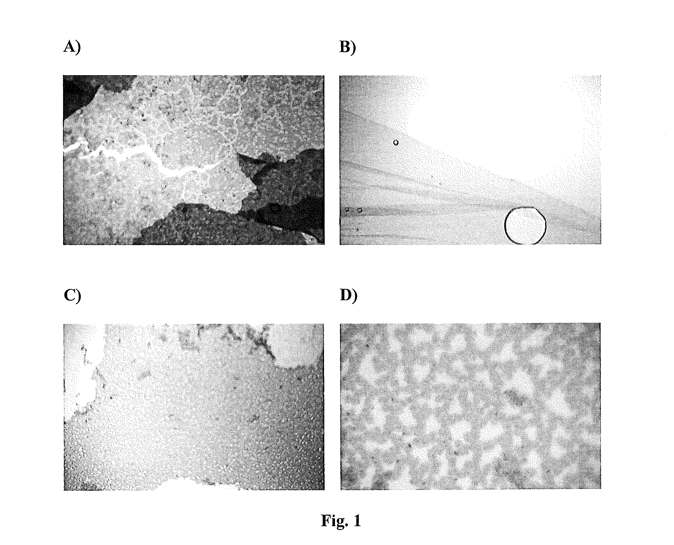 Polymers, substrates, methods for making such, and devices comprising the same