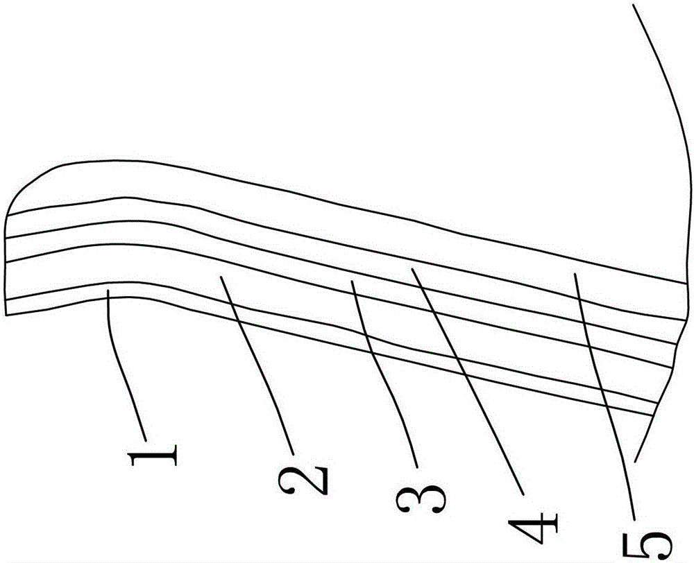 Layer structure and layer structure treatment process for automobile decoration