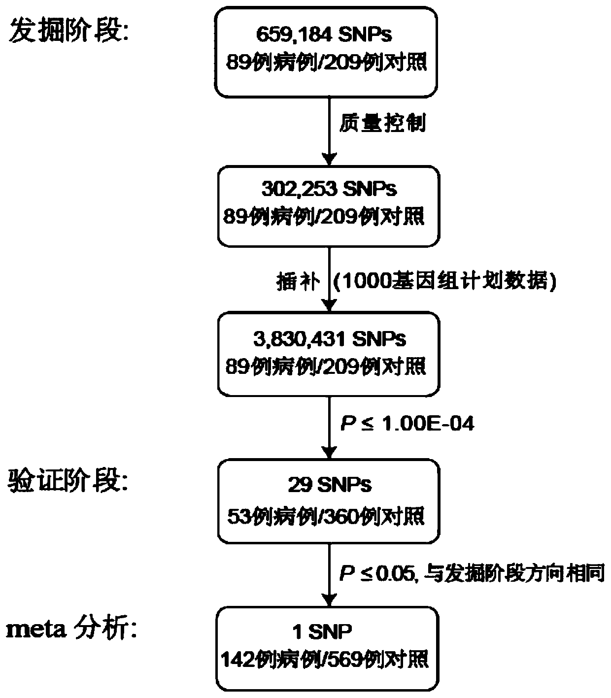 Detection method and kit for polymorphism of 7q36.3 region related to occurrence of noise induced hearing loss and application thereof