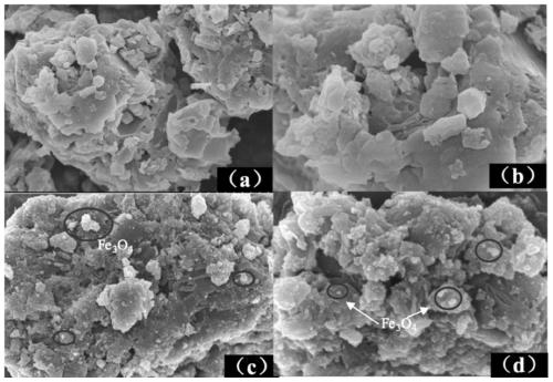 Preparation method and application of sulfur-doped graphite-phase carbon nitride nanosheet loaded graphene and ferroferric oxide composite magnetic photocatalyst