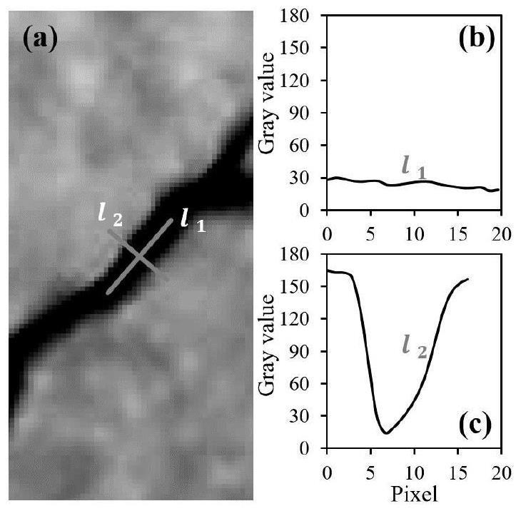 Automatic extraction method and device for coal mining subsidence ground fissures and storage medium