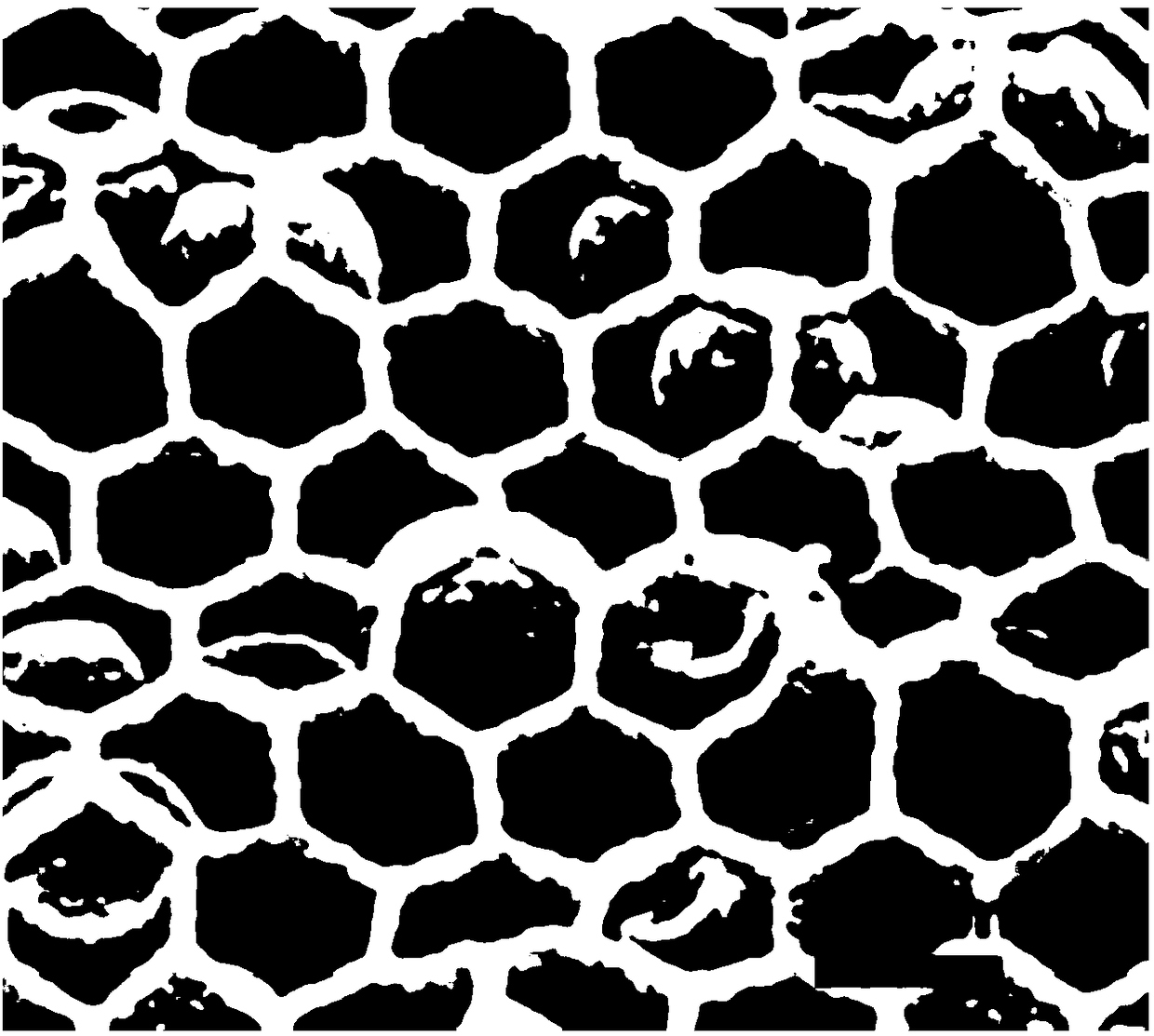 Surface-enhanced Raman substrate and preparation method thereof