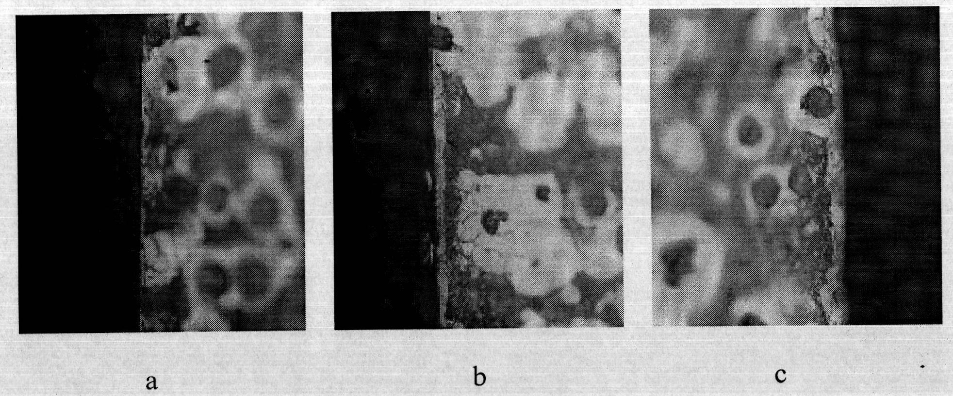 Surface active accelerant agent and method for catalytic nitriding by using same