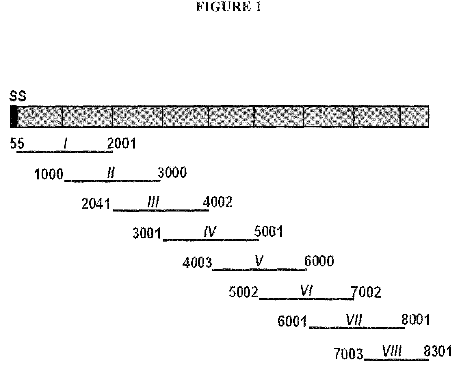 Binding domain of Plasmodium reticulocyte binding proteins