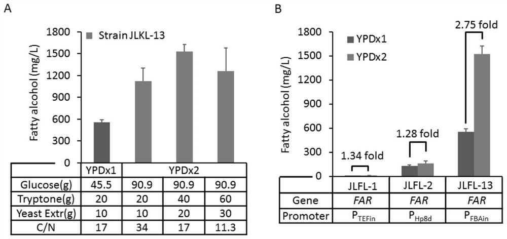 Synergistic application of sugar metabolism and lipid metabolism to enhance the yield of fatty acid derivatives synthesized by Yarrowia lipolytica