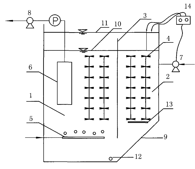 Air lift intermittent internal circulation denitrification dephosphorization sewage treatment process and apparatus