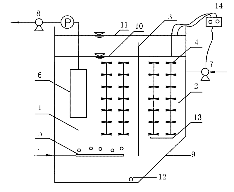 Air lift intermittent internal circulation denitrification dephosphorization sewage treatment process and apparatus