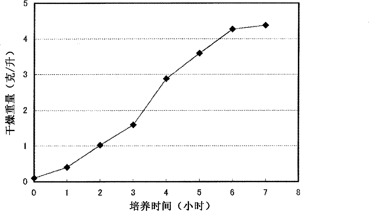 Process for production of fucoxanthin, and microalga for use in the process