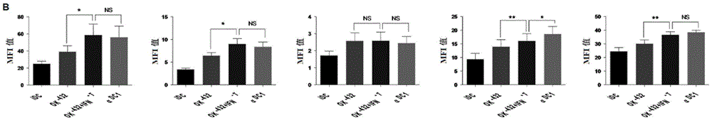 Composition and method for stimulating dendritic cell maturation