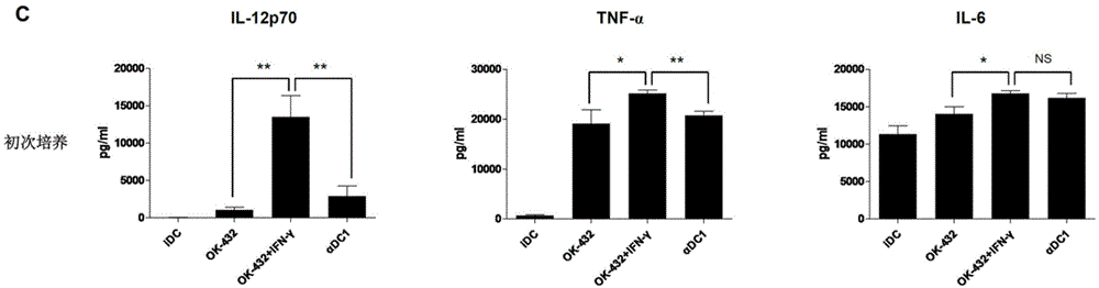 Composition and method for stimulating dendritic cell maturation