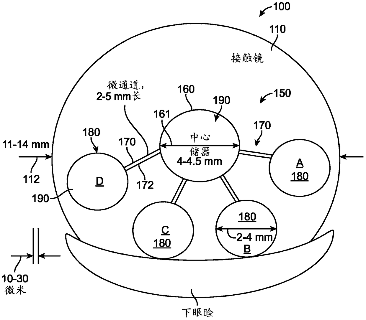 accommodating soft contact lenses