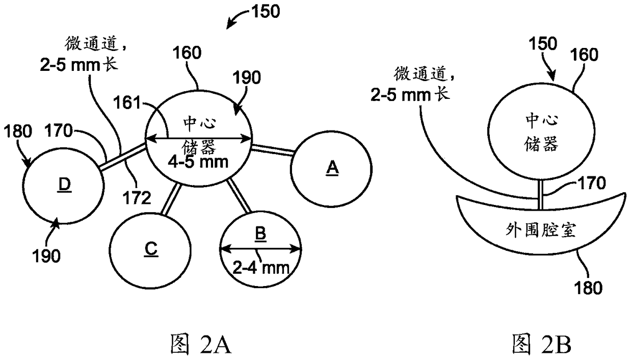 accommodating soft contact lenses