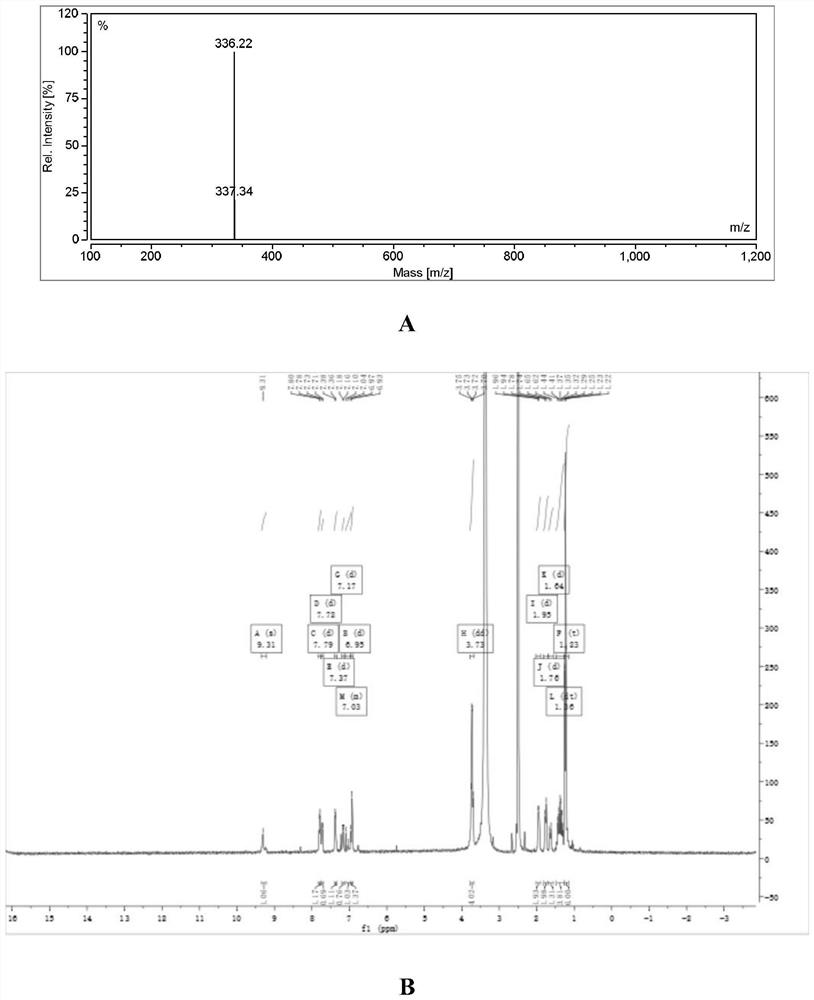 Oxazine near-infrared fluorescent dye as well as preparation method and application thereof