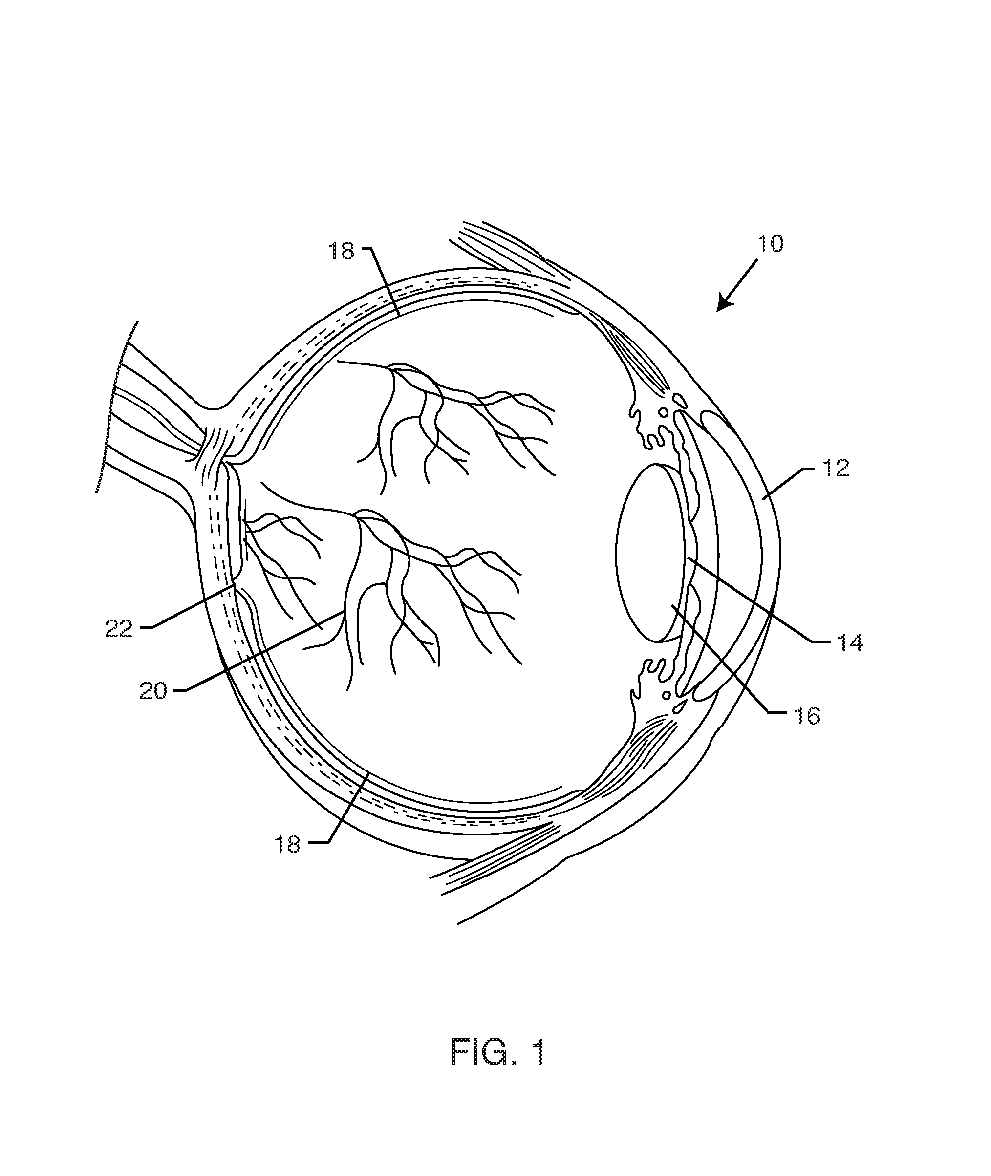 System and process for retina phototherapy
