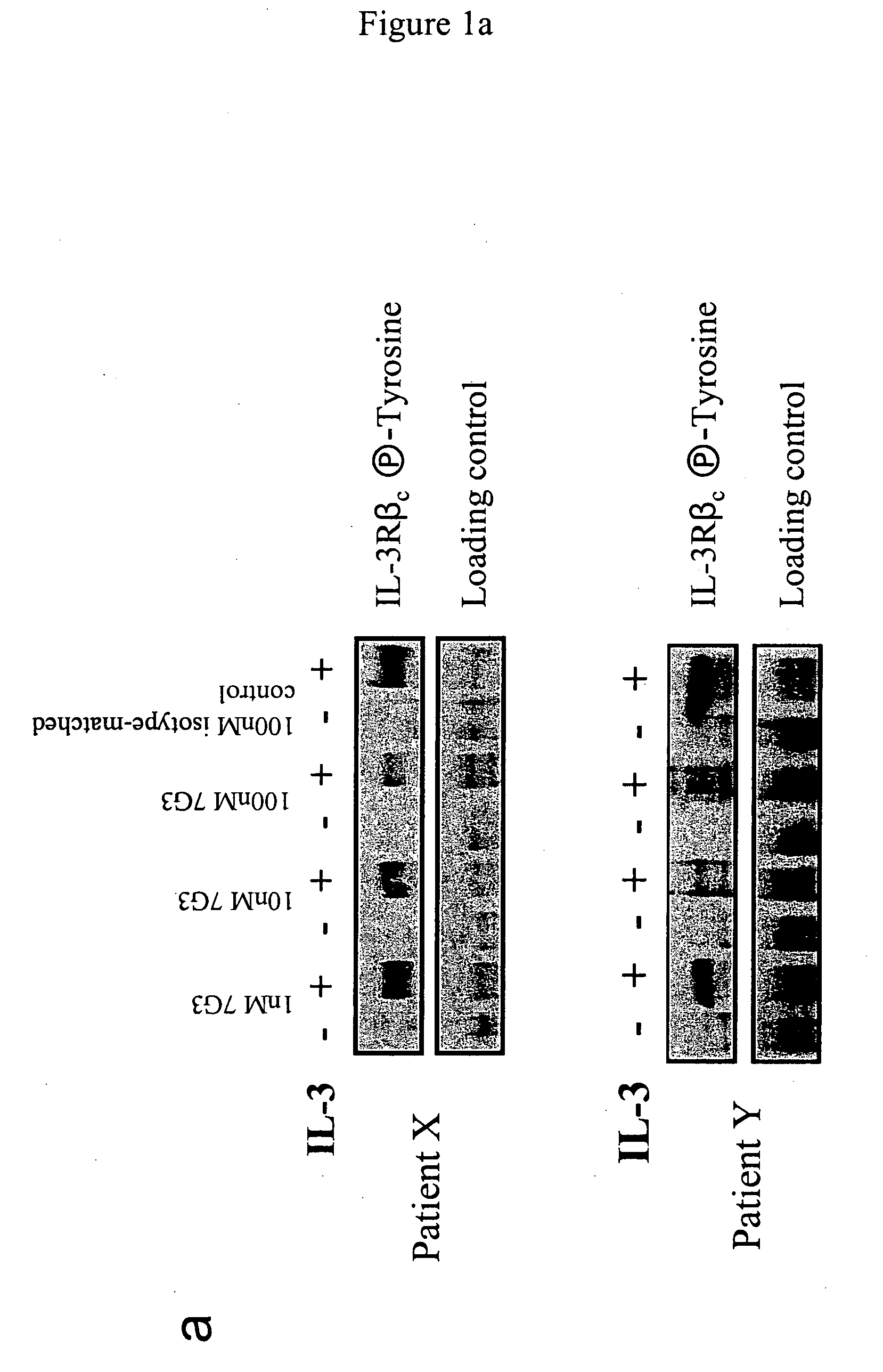 Method of inhibition of leukemic stem cells