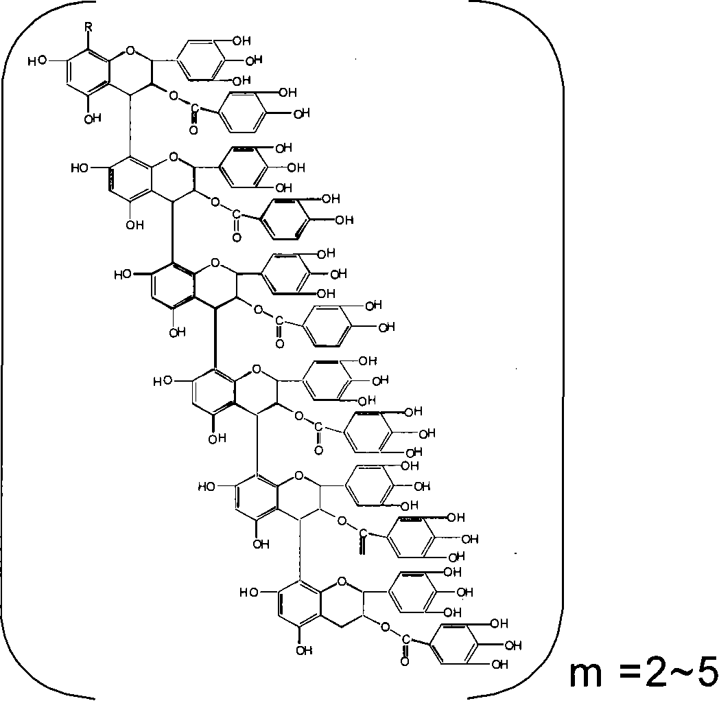 Absorbent article comprising condensed tannin