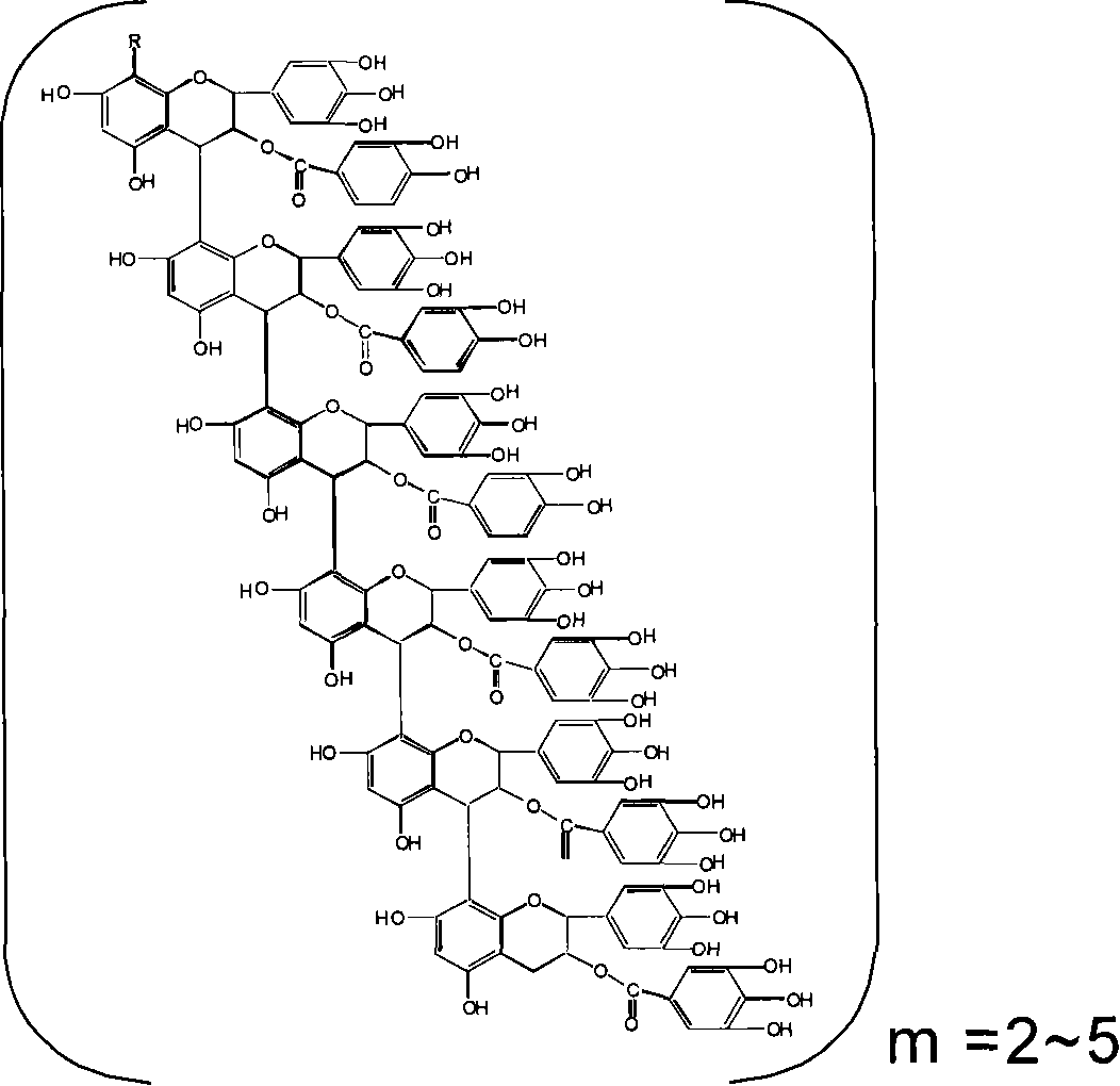 Absorbent article comprising condensed tannin