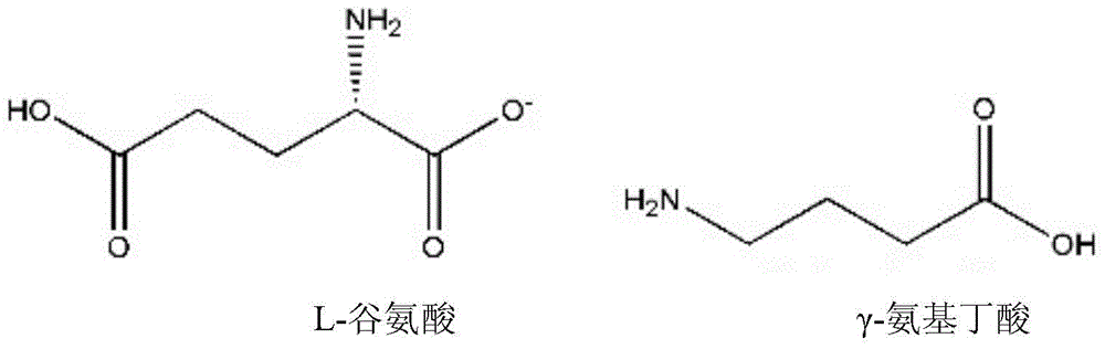 A glutamic acid decarboxylase recombinant bacterium and its construction method and application