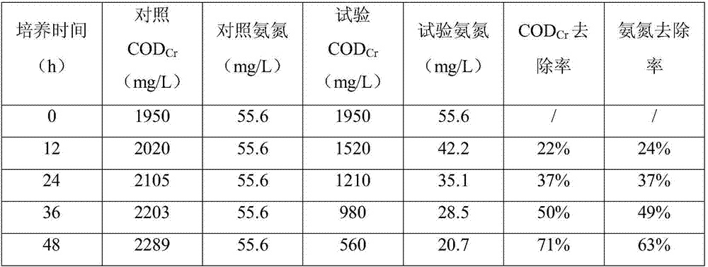 Denitrification bacterium biological sphere for hairy crab breeding water purification system and preparation method of denitrification bacterium biological sphere