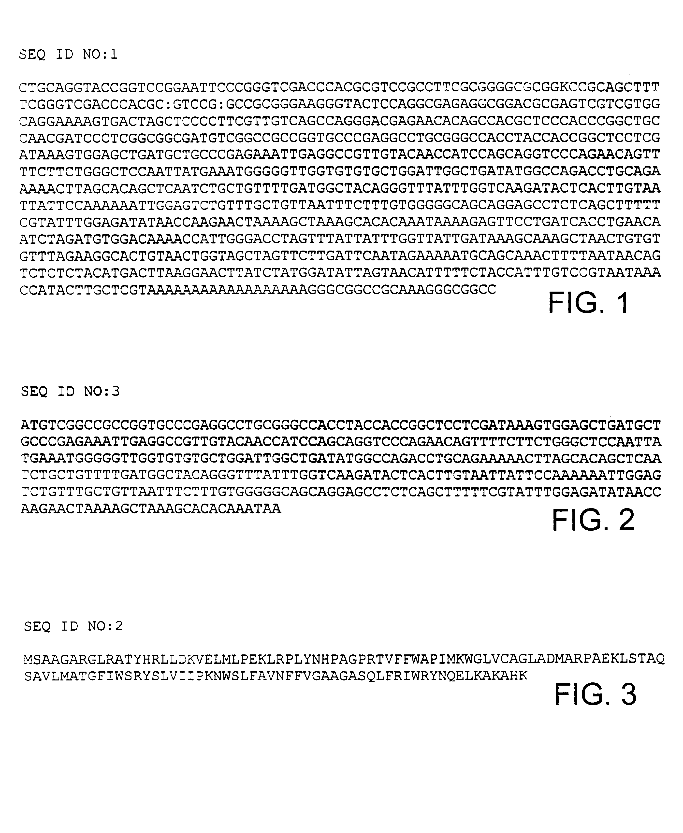 HRPCa9 and HRPCa10 nucleic acids and polypeptides