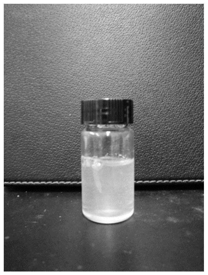 A kind of carbon dioxide gel foam containing thiourea structure and its preparation method and application