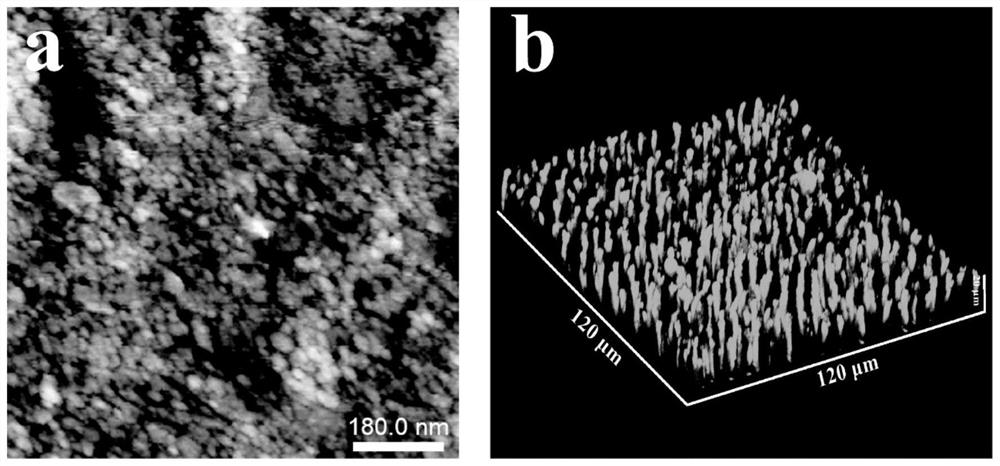 Mineralized material for treating tooth sensitivity and promoting epitaxial growth of enamel and application of mineralized material