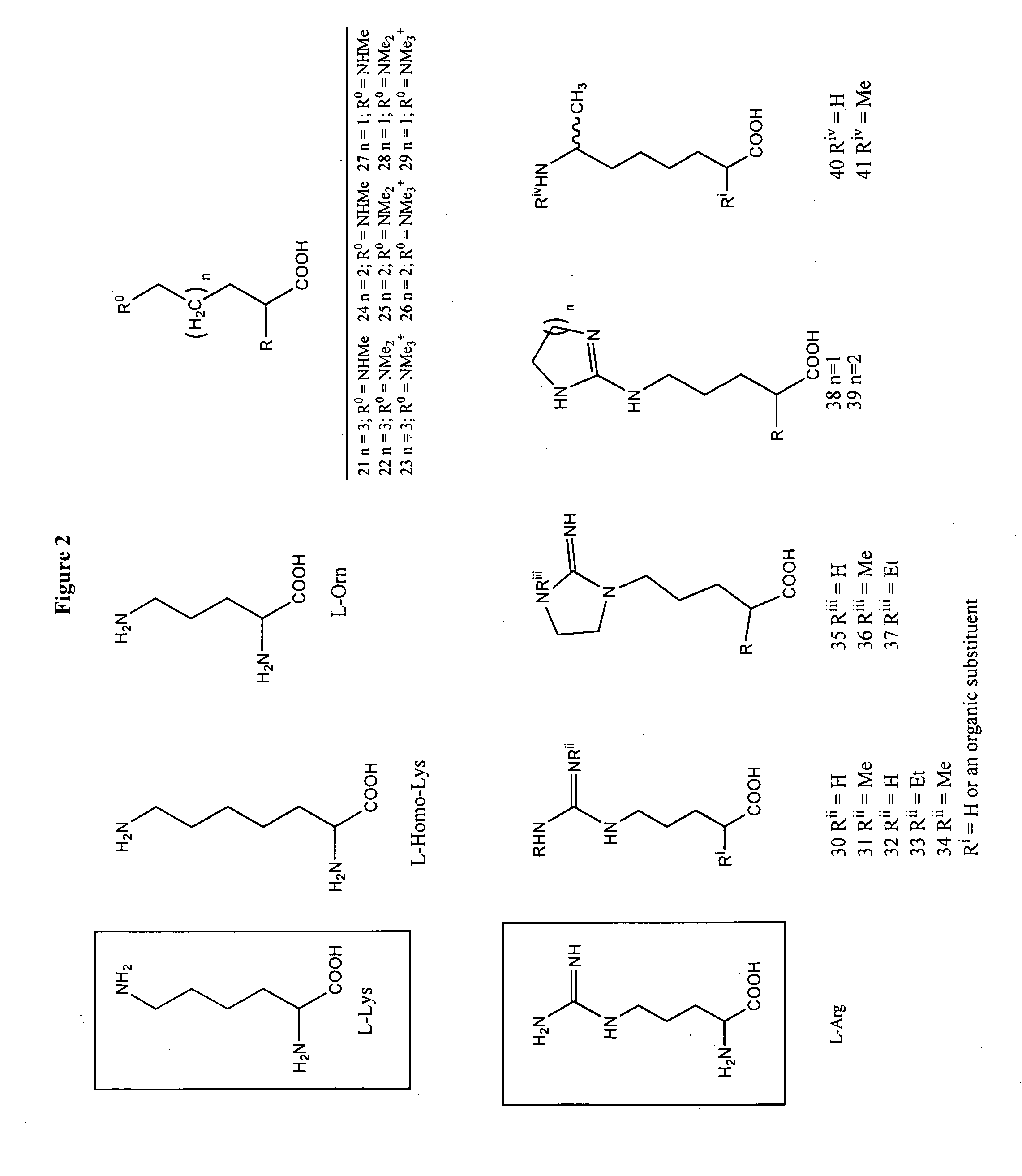 Non-natural amino acids and neurotensin analogues