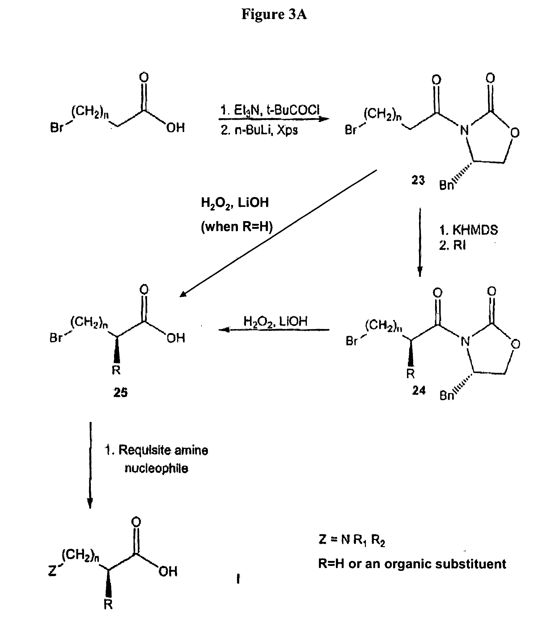 Non-natural amino acids and neurotensin analogues