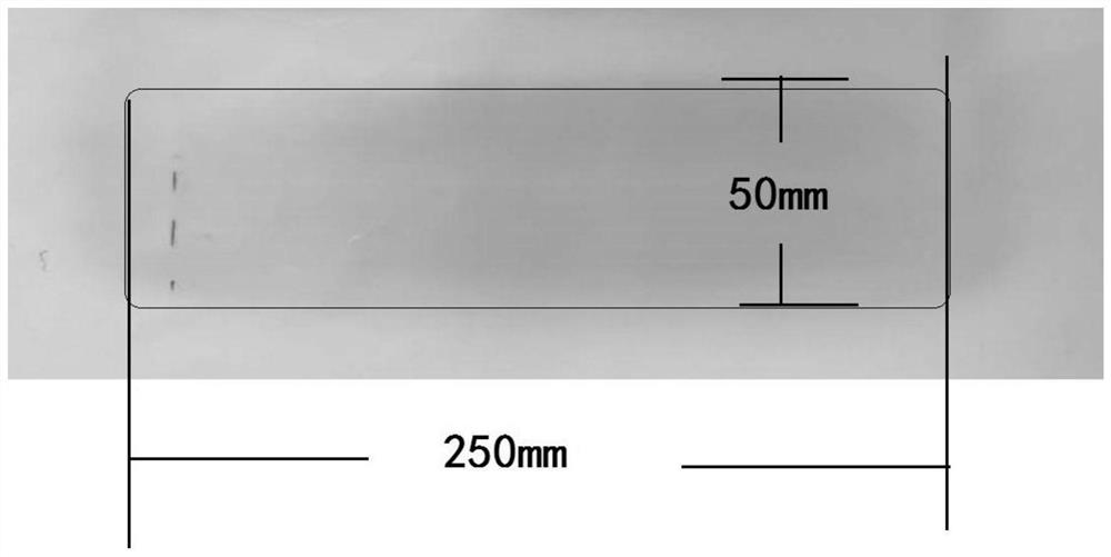 A large area pulse magnetic filter device