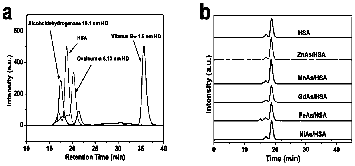 Drug containing arsenic nanoparticles and preparation method thereof