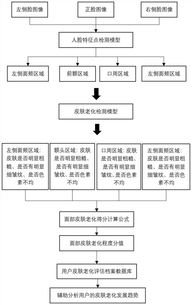 Skin aging degree identification method, system and device based on artificial intelligence