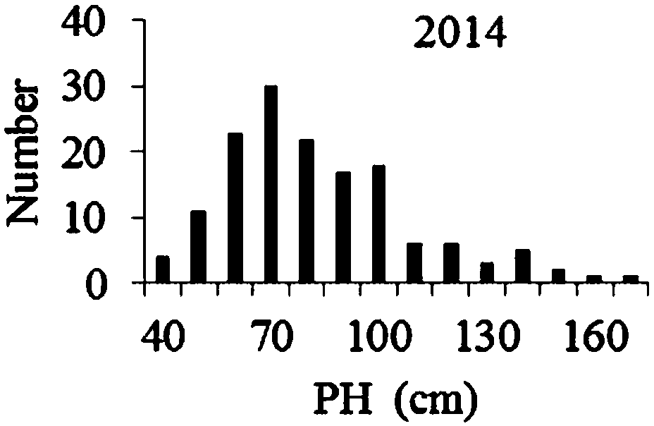 Molecular marker method relevant to plant heights of soy beans and marker combination thereof