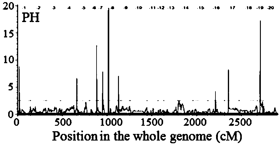 Molecular marker method relevant to plant heights of soy beans and marker combination thereof