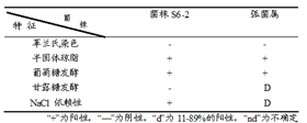 Ocean low-temperature dextranase, enzyme producing method and strain S6-2 produced therefrom