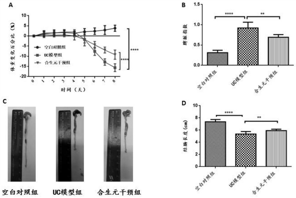 Method for researching effect of microecological preparation on DSS-induced colitis mice