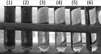 Method for preparing spring dextrin by aid of alpha amylase for hydrolyzing amylose starch