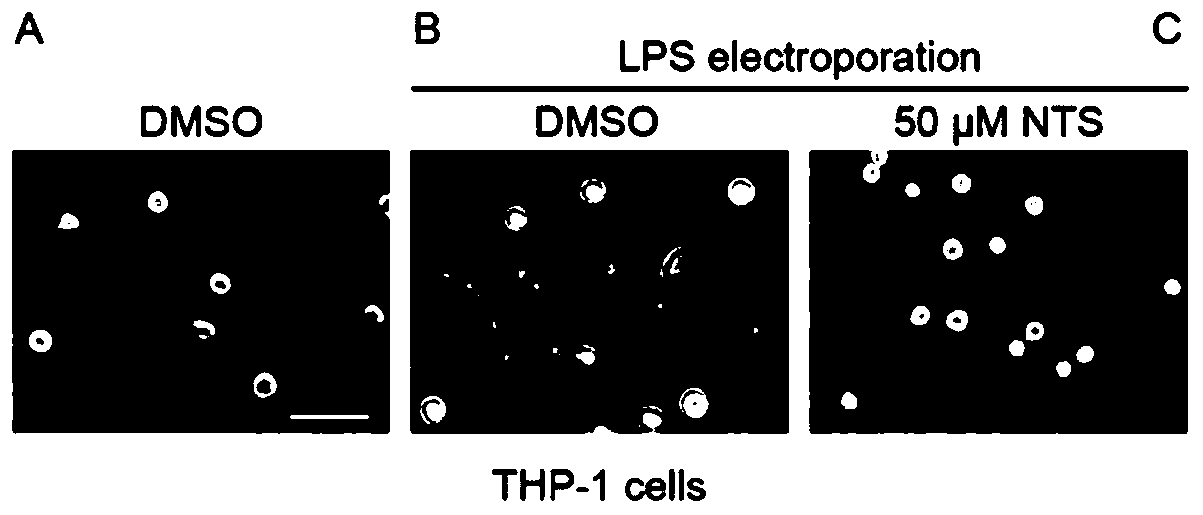 Application of dehydronitrosonisoldipine in preparing of drugs for sepsis prevention and treatment