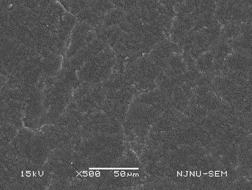 Method for preparing poly sulfoacid inner salt anticoagulant biomaterial via atom transfer radical polymerization