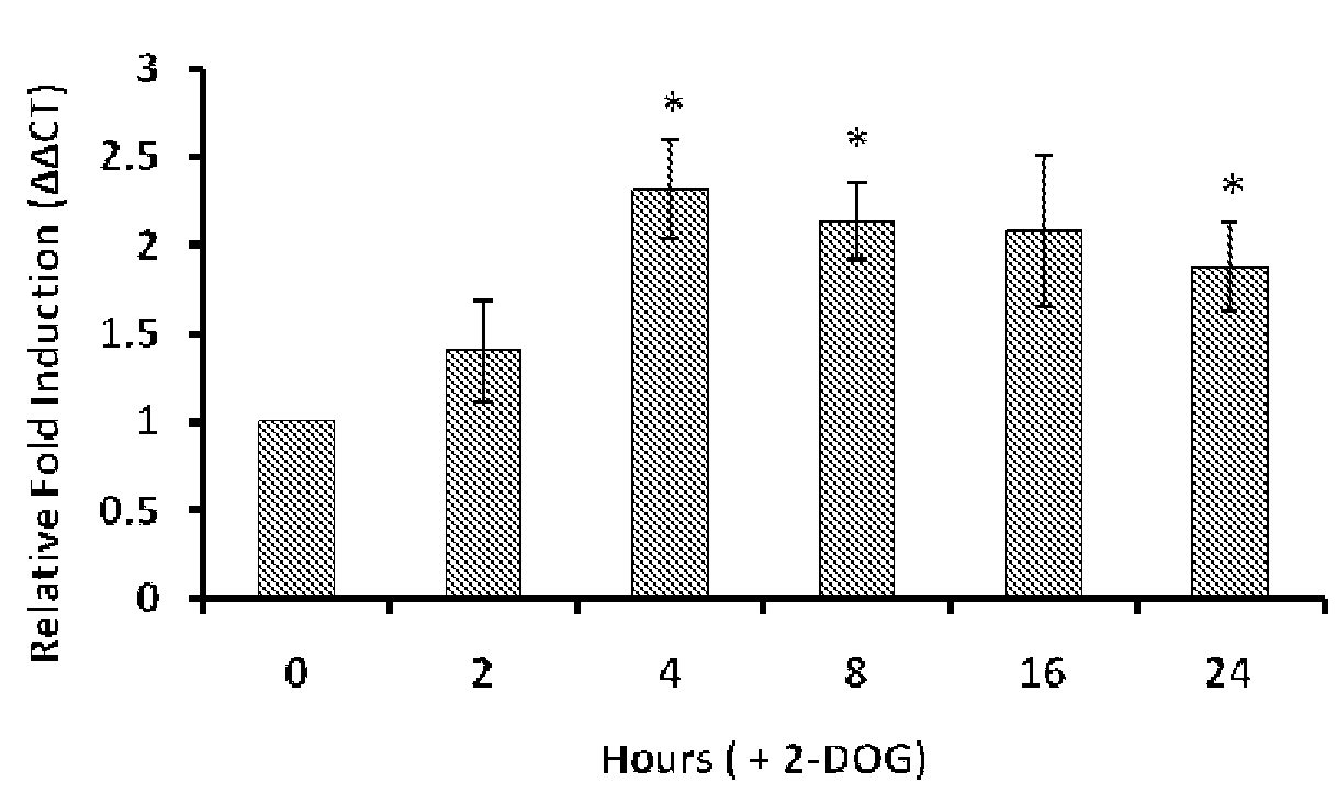 Non-hormonal female contraceptive