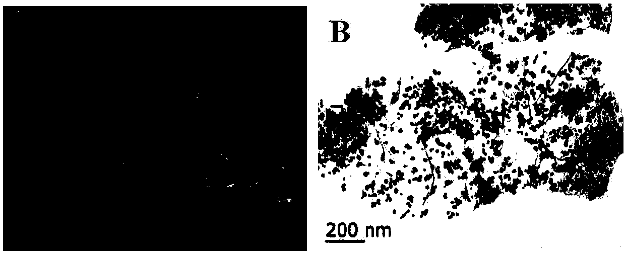 Preparation method and applications of Ag/TiO2-supported nitrogen-doped three-dimensional graphene aerogel