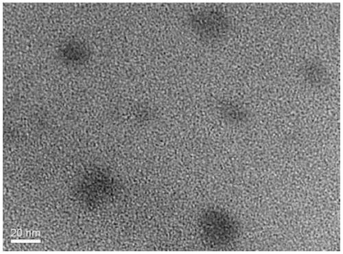 Hydrothermal method for synthesizing biomass fluorescence carbon dots by taking soybean meals as raw materials and application