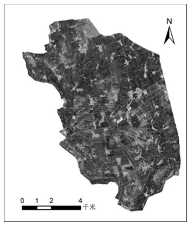 Remote sensing identification method for land cover and planting structure of finely-divided agricultural area