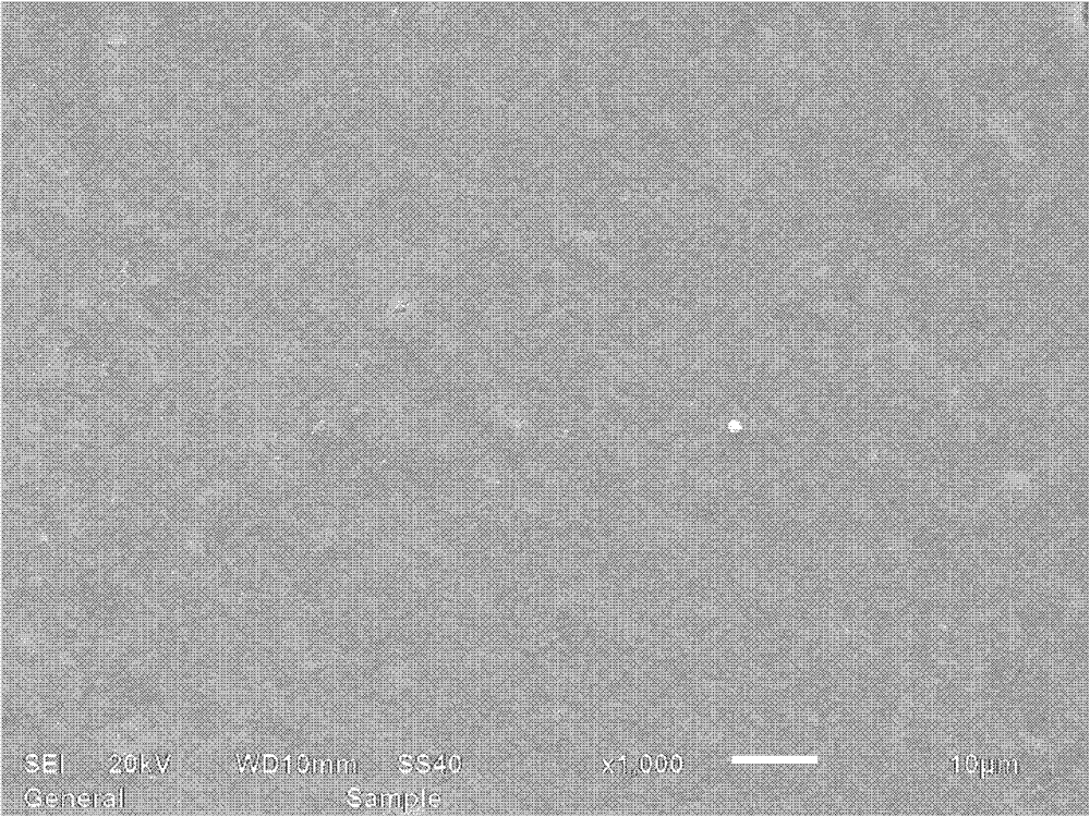 Inorganic insulation coating for large dam surface, and preparation method thereof